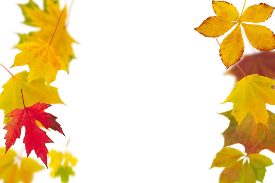 Herabfallende Bl&auml;tter im Herbst freigestellt