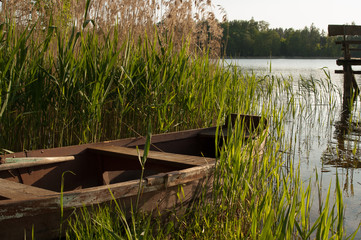 Łódka przy brzegu jeziora Litygajno