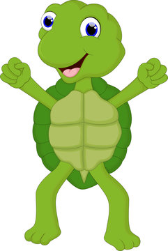 funny cartoon turtle for you design