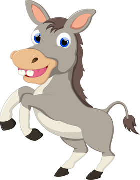 funny donkey cartoon