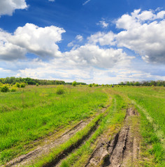 Fototapeta premium dirt road in steppe