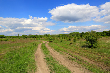 Fototapeta na wymiar rural road in steppe
