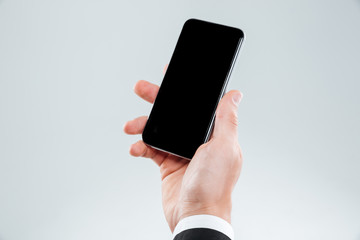 Fototapeta na wymiar Hand of businessman holding blank screen smartphone