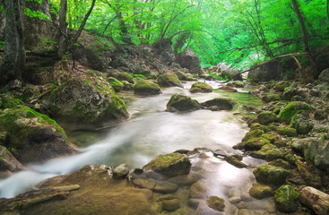 Obraz premium Mountain river in spring. 