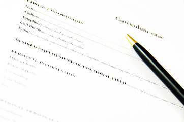 Blank CURRICULUM VITAE document