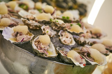 Fresh Opened Oysters