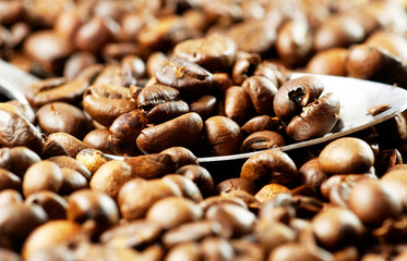 Roasted coffee beans with a spoon. Close up image
