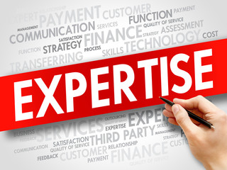Expertise related items words cloud, business concept
