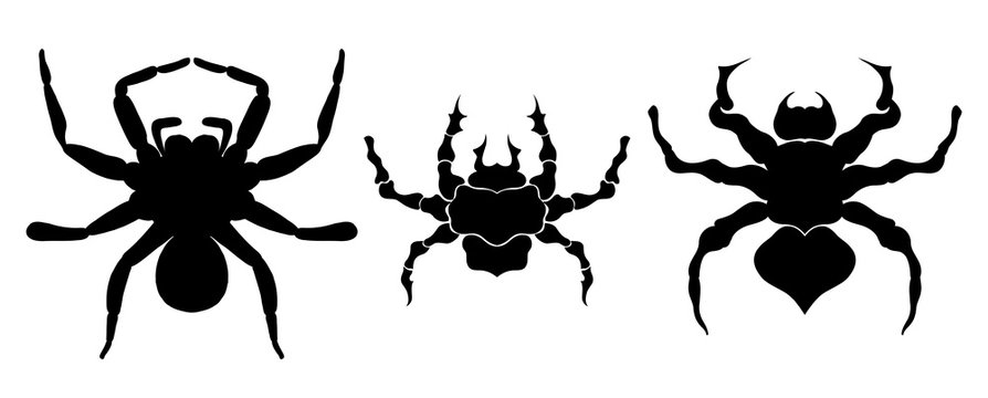 black silhouette spider icon