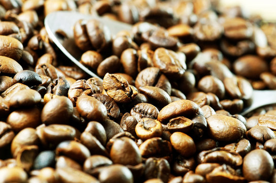Roasted coffee beans with a spoon. Close up image
