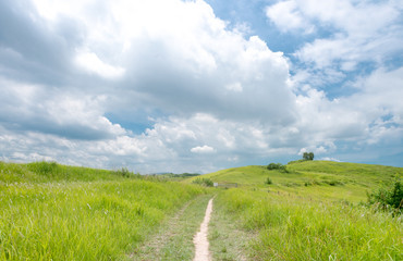 grassland with blue sky and white clouds