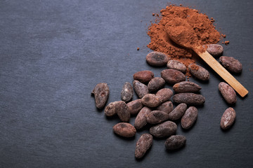 Cocoa beans and powder on black background