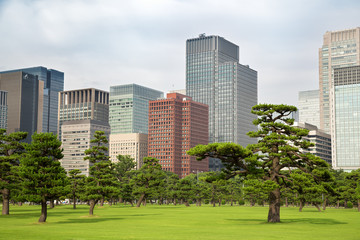 Fototapeta premium Panoramę Tokio