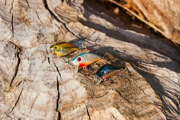Close up view of various kind of baits on the natural background