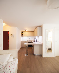 Modern house,modern kitchen