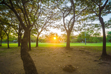 Fototapeta premium Sunset scence with yellow beam in the green central public park