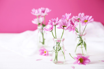 Pink chrysanthemum flowers on white wooden background