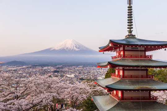 春の新倉山浅間神社