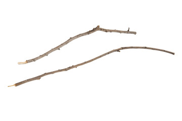 twig