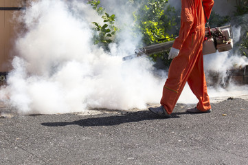 man fogging mosquito .