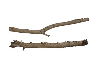 twig