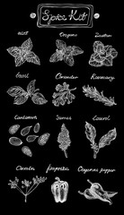 Spice Kit. Hand drawn vector illustration. Graphics style. Contains: mint, oregano, basil, coriander, rosemary, cardamon, sumac, laurel, cumin, paprika and cayenne paper.
