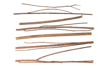 twig