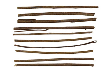 twig