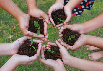 Hands holding sapling in soil surface on green grass background.