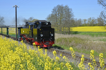 Der rasende Roland auf Rügen