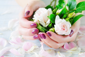 Cupped hands with manicured fingernails holding delicate roses