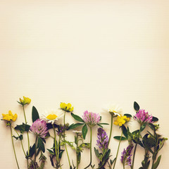 Closeup of wild flowers edge