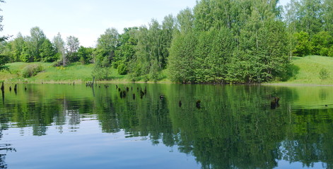 Fototapeta na wymiar Lake shore in the forest