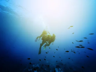 Photo sur Plexiglas Plonger Three scuba divers. Swimming with fishes. Vintage effect.