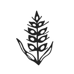 spicaship with sails