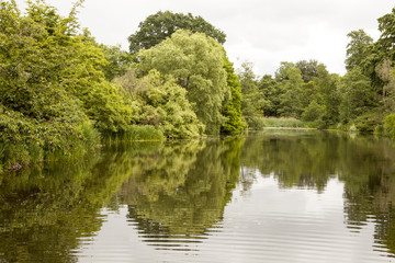 Fototapeta na wymiar Reflections. A still and peaceful lake creates a mirror surface for lovely reflections of the summer foliage of the garden around it. An overcast day creates a sombre atmosphere.
