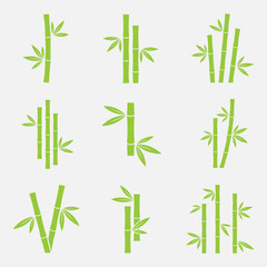Fototapeta premium Bamboo vector icon