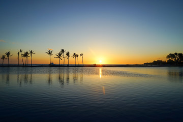Hawaiian Sunset Sillhouette