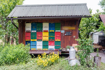 apiary