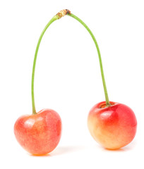 Two yellow cherries isolated on white background