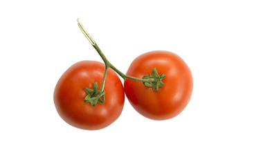 Fresh red tomatoes on a green branch on light background