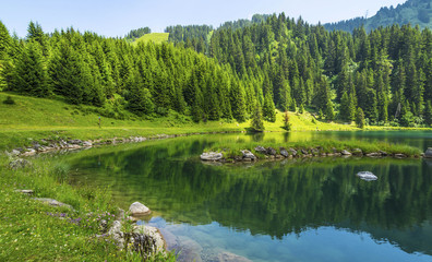 Tranquil scene on the shore of the lake. Beautiful green landscape in the Alps mountains
