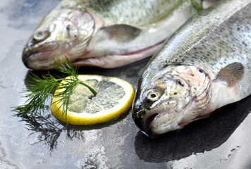 Rainbow trouts on a stone board with herbs and lemon