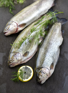 Rainbow trouts on a stone board with herbs and lemon