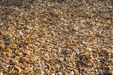 Closeup of wood chip path covering