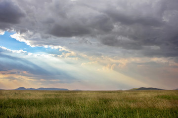 Sky with rays of light in the African savannah in the sunset