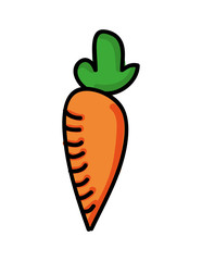 carrot fresh isolated icon design