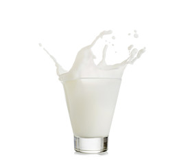 milk splash in glass isolated on white background