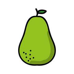 avocado fresh isolated icon design