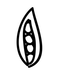 beans fresh isolated icon design